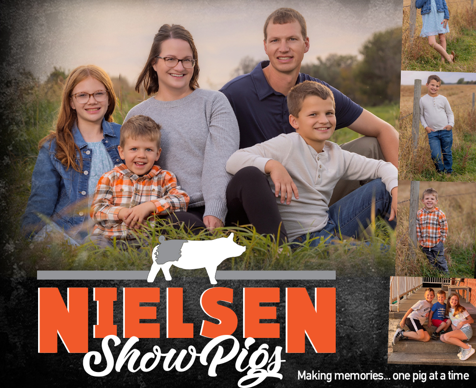 Nielsen Show Pigs