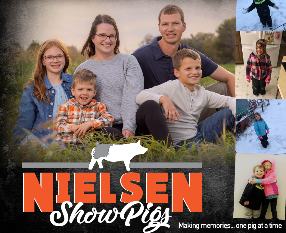 Nielsen Show Pigs