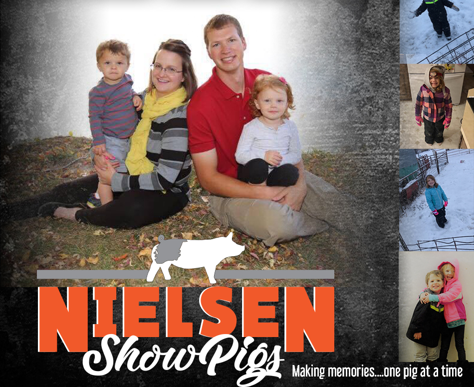 Nielsen Show Pigs